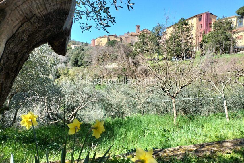 f9a8e9f8-7464-4c60-93f5-91e01d09b7d8