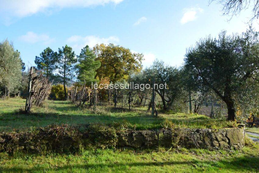 DSC_0421_site