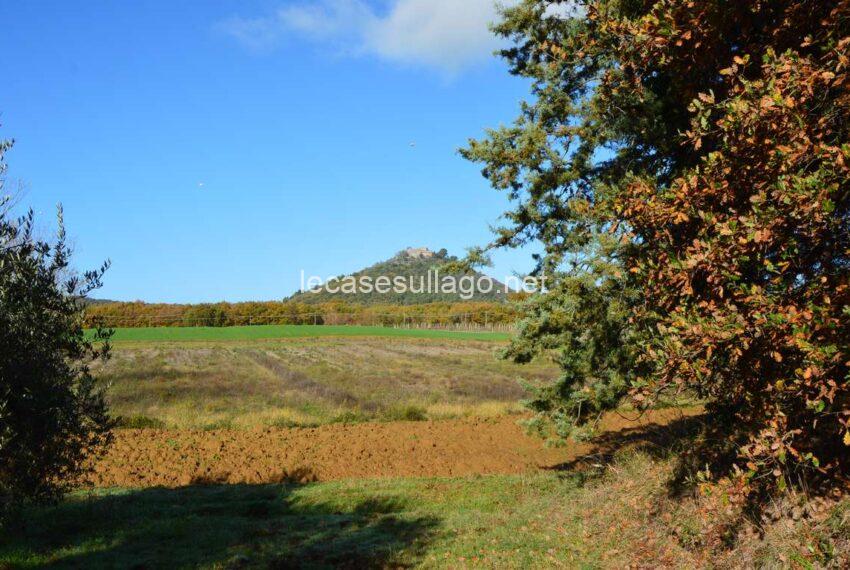 DSC_0463_site