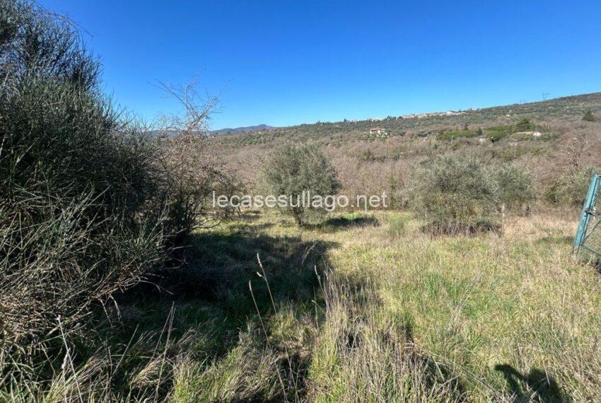 Vialla_Chiara (9) (FILEminimizer)