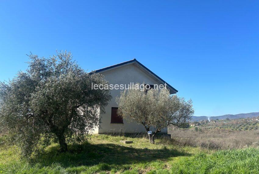 WhatsApp Image 2025-03-06 at 09.27.50