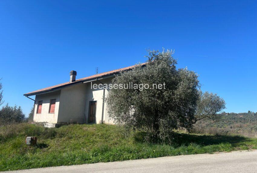 WhatsApp Image 2025-03-06 at 09.27.52 (2)