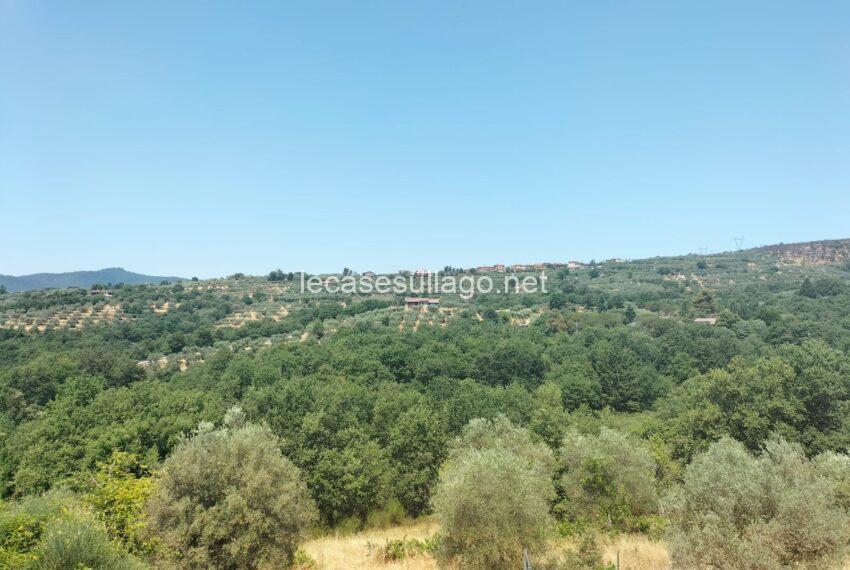 b4edba7c-2556-429a-a6e5-45d268100786