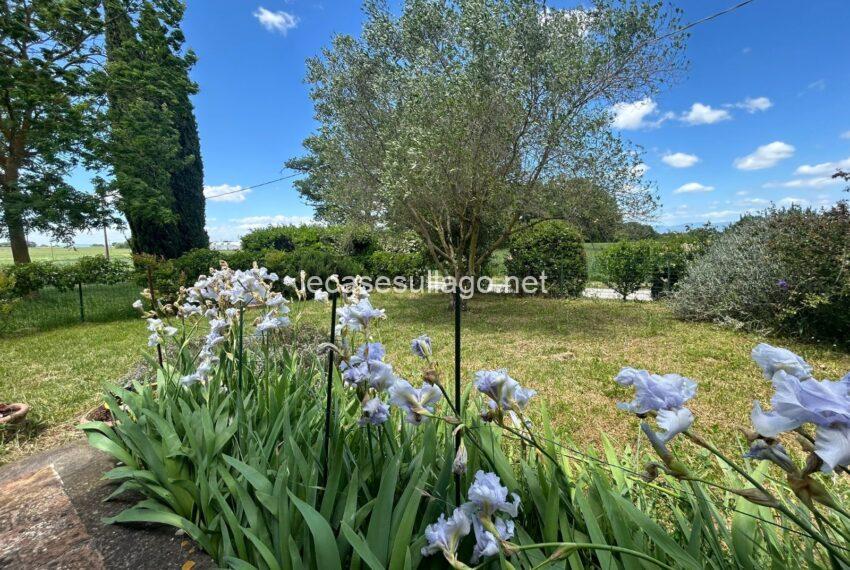 e74c8b01-6377-4ab7-89e0-e19b142fb6f5