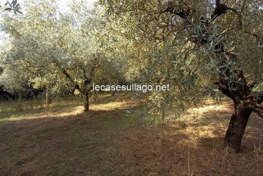 20231013_102948 (FILEminimizer)