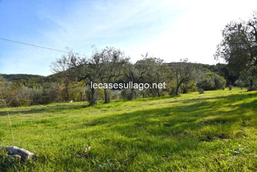 DSC_8484 (FILEminimizer)