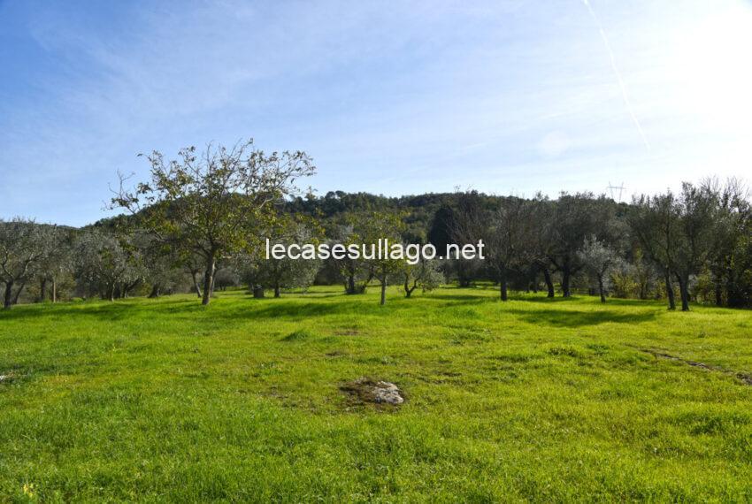 DSC_8493 (FILEminimizer)