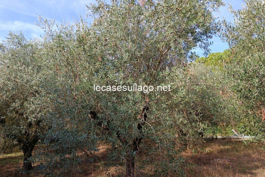 IMG_20231013_103011 (FILEminimizer)