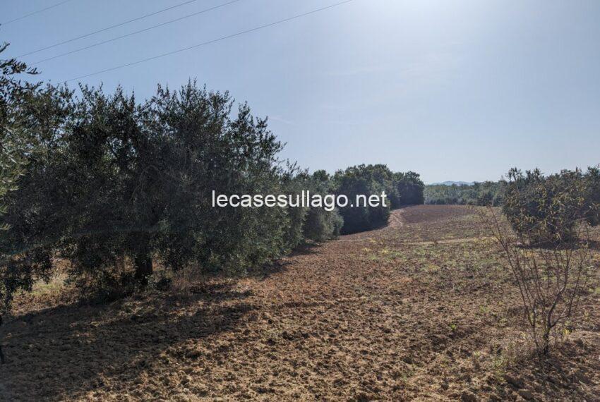 PXL_20231009_090405839 (FILEminimizer)