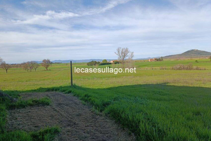 IMG_20240325_154623 (FILEminimizer)