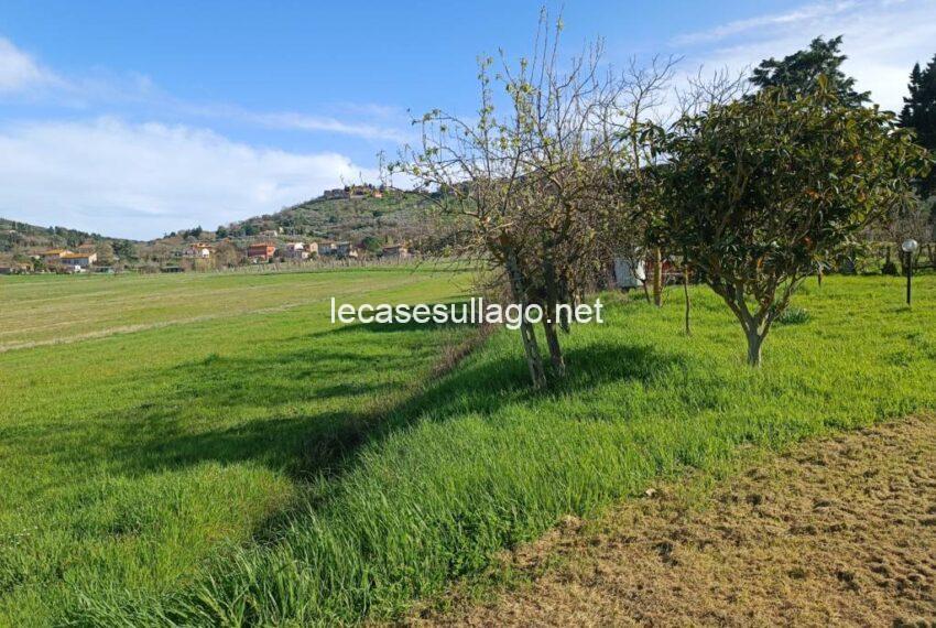 IMG_20240325_154631 (FILEminimizer)