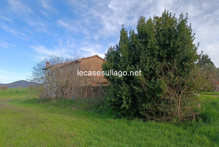 IMG_20240325_161922 (FILEminimizer)