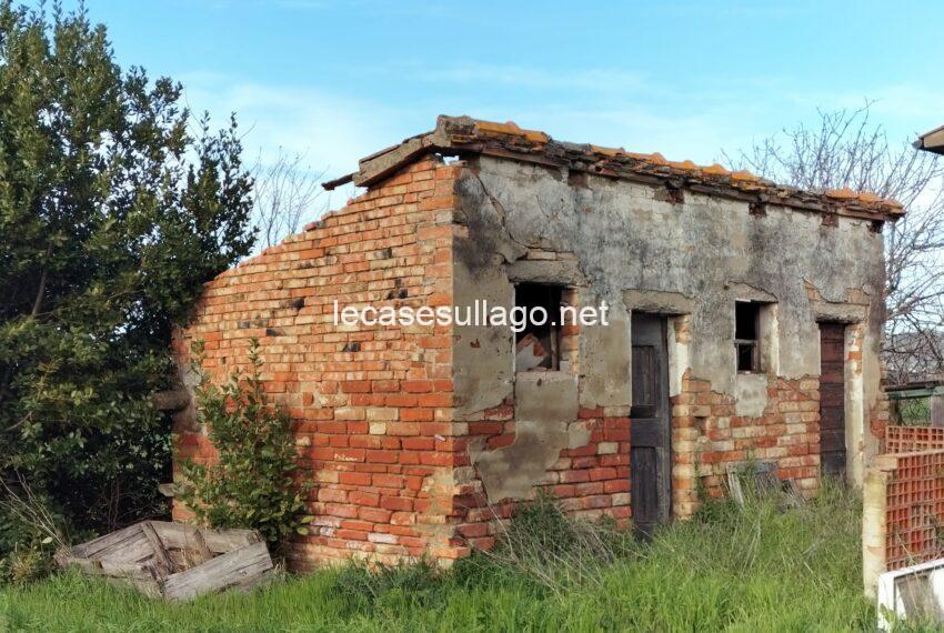 Immagine WhatsApp 2024-05-09 ore 16.34.47_29f9ee98