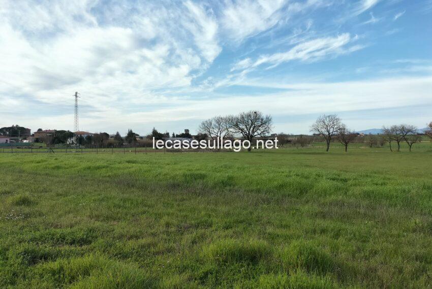 Immagine WhatsApp 2024-05-09 ore 16.34.48_b987c6a9