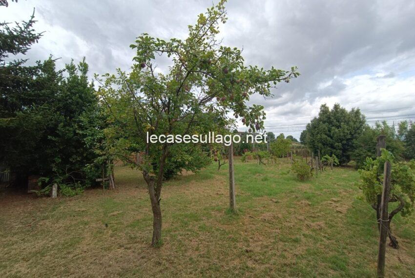 IMG_20240703_100341 (FILEminimizer)