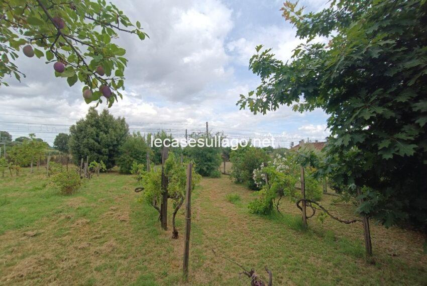 IMG_20240703_100348 (FILEminimizer)