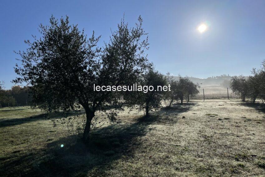 IMG_0944 (FILEminimizer)