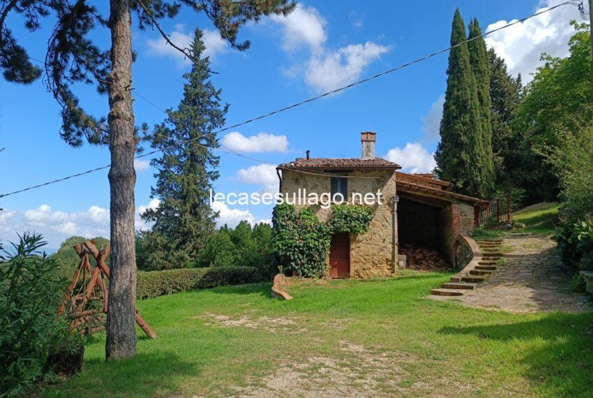 IMG_20240921_123246 (FILEminimizer)