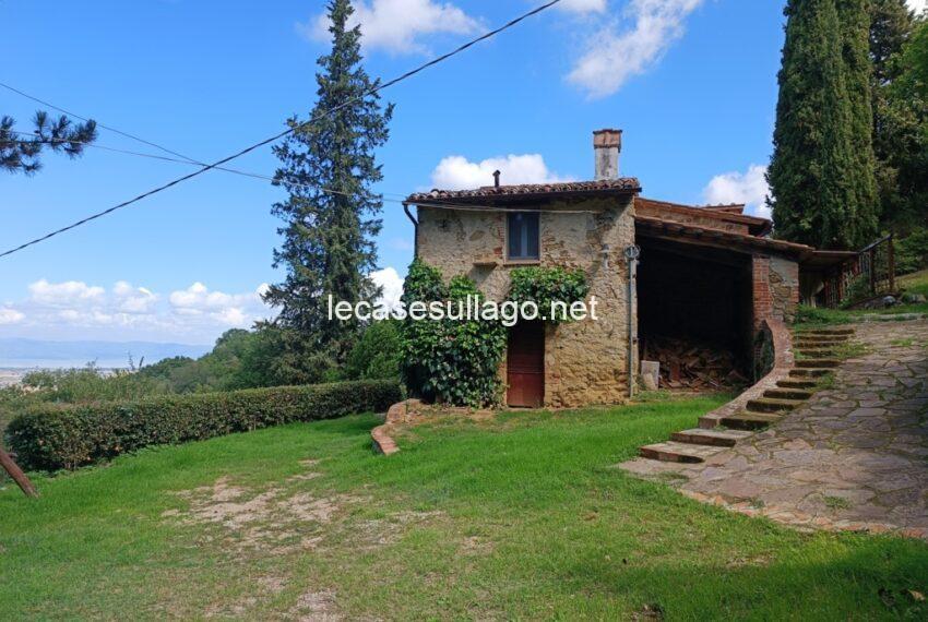 IMG_20240921_123315 (FILEminimizer)