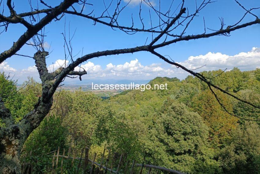 IMG_20240921_125432 (FILEminimizer)