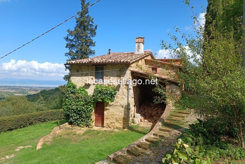 IMG_20240921_130257 (FILEminimizer)