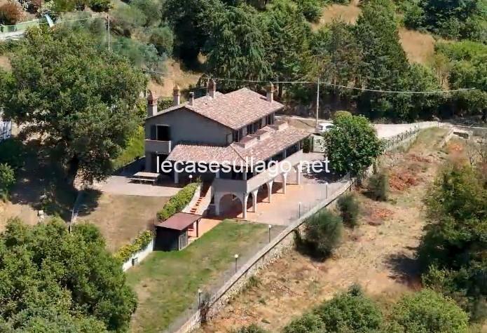 WhatsApp Image 2025-01-08 at 10.52.55