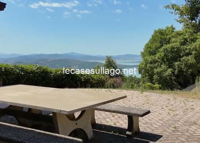 WhatsApp Image 2025-01-08 at 10.53.24