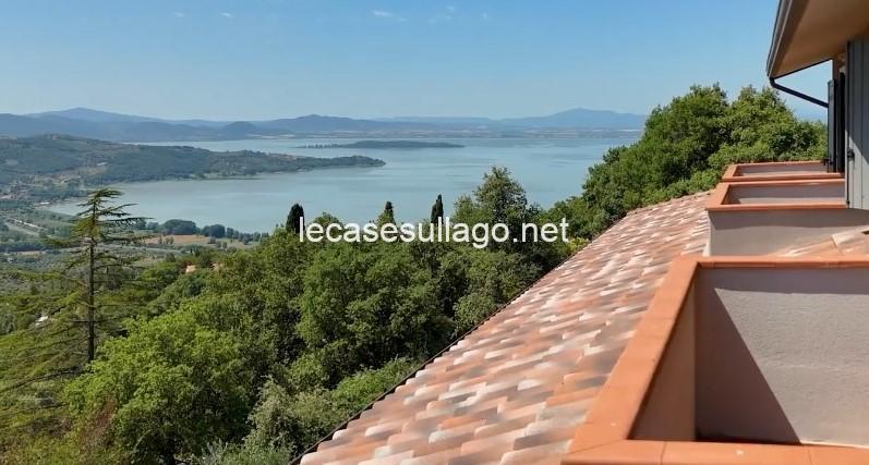 WhatsApp Image 2025-01-08 at 10.55.44