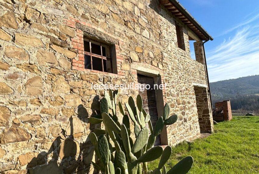 WhatsApp Image 2025-02-17 at 12.16.48 (1)