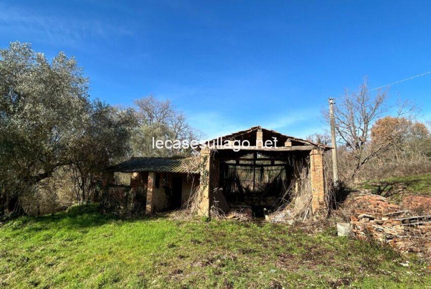 WhatsApp Image 2025-02-17 at 12.16.48