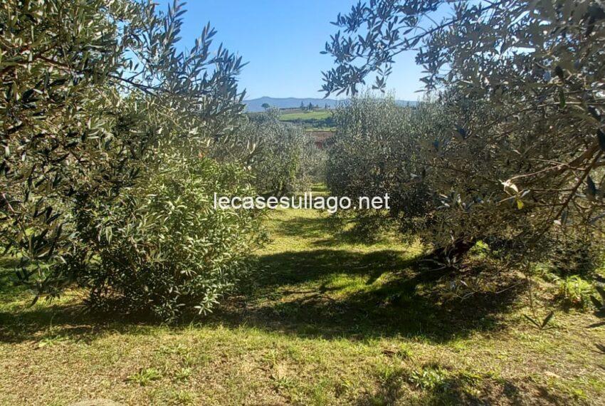 9b737c40-a4c4-4d3b-8d0c-55f97fcc6aa2