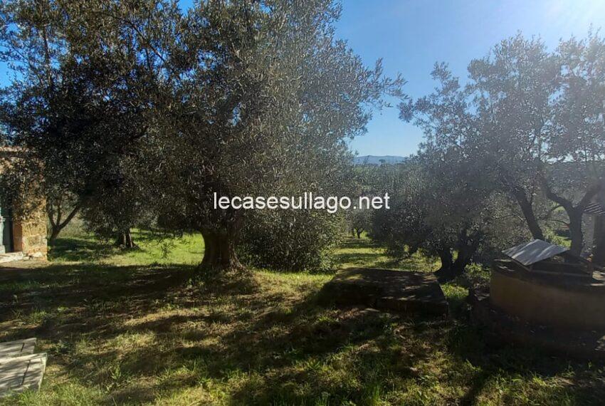 9e6c94c7-c602-40ae-8388-ba47af7fe60d