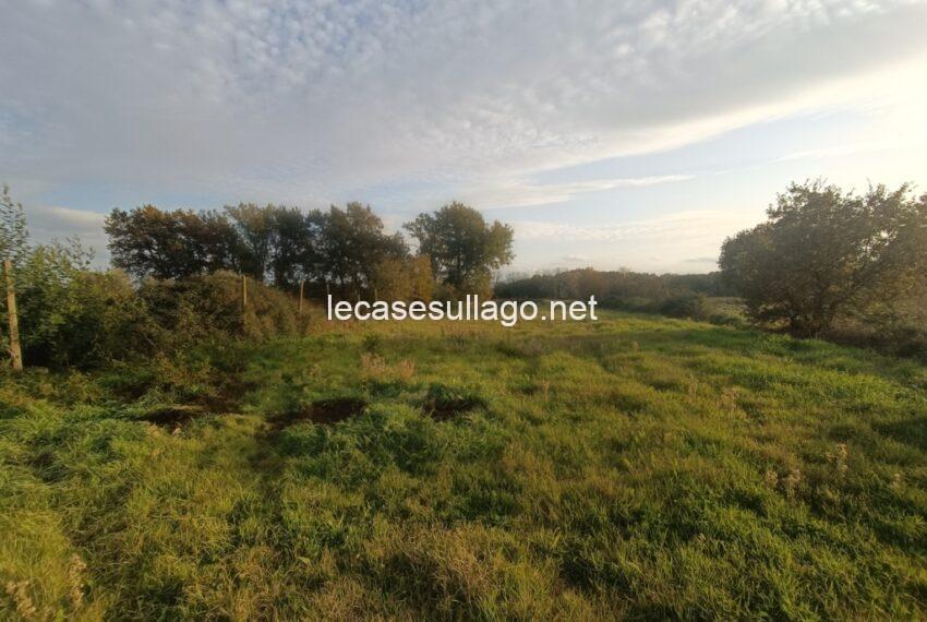 IMG_20241126_153337 (FILEminimizer)