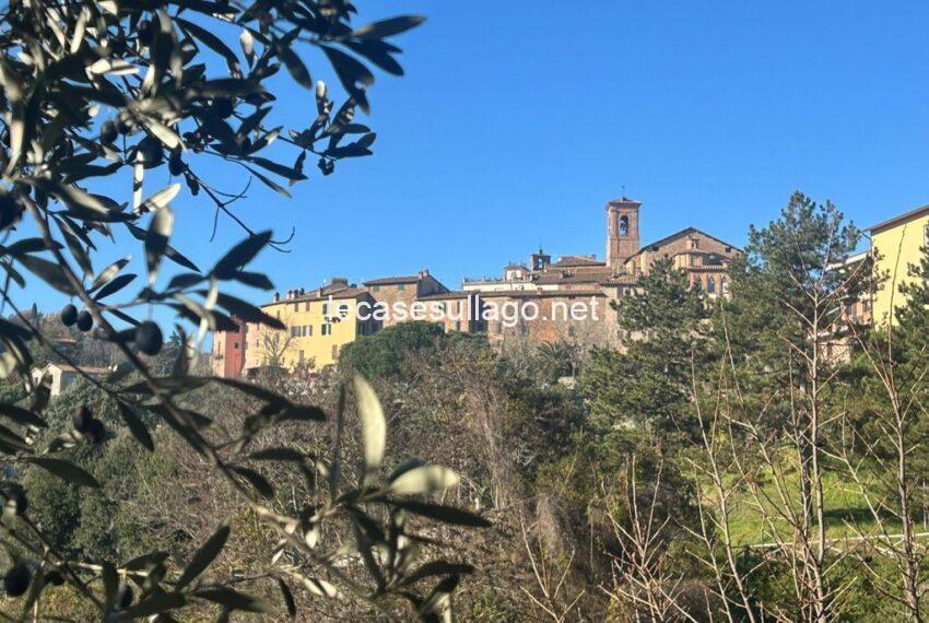 immagine_1 (2) (FILEminimizer)