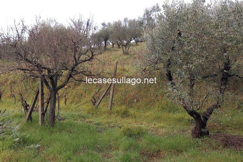 20250214_100906 (FILEminimizer)