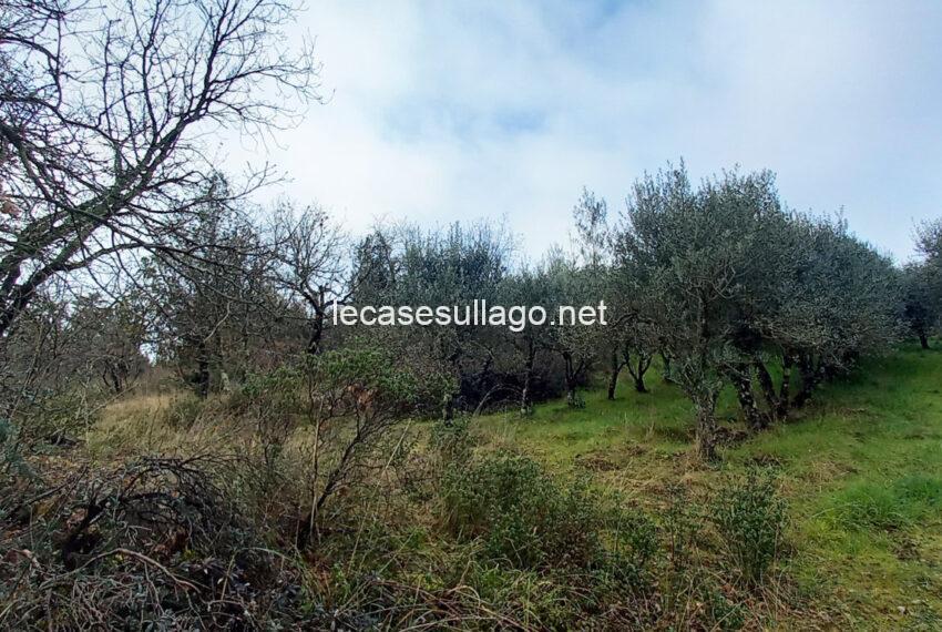 20250214_102741 (FILEminimizer)