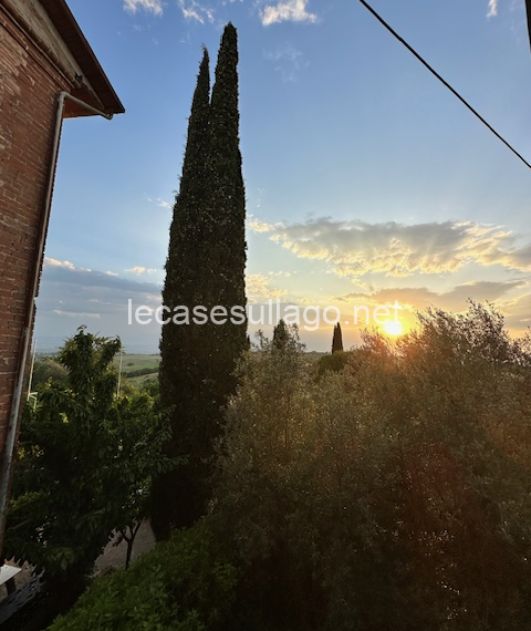 image12