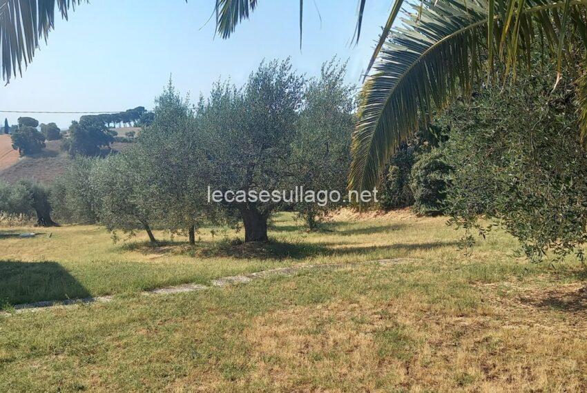 20250704_095143 (FILEminimizer)