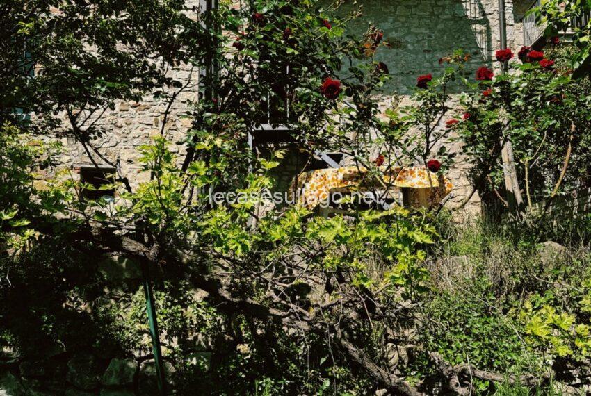 IMG_4950_VSCO (FILEminimizer)