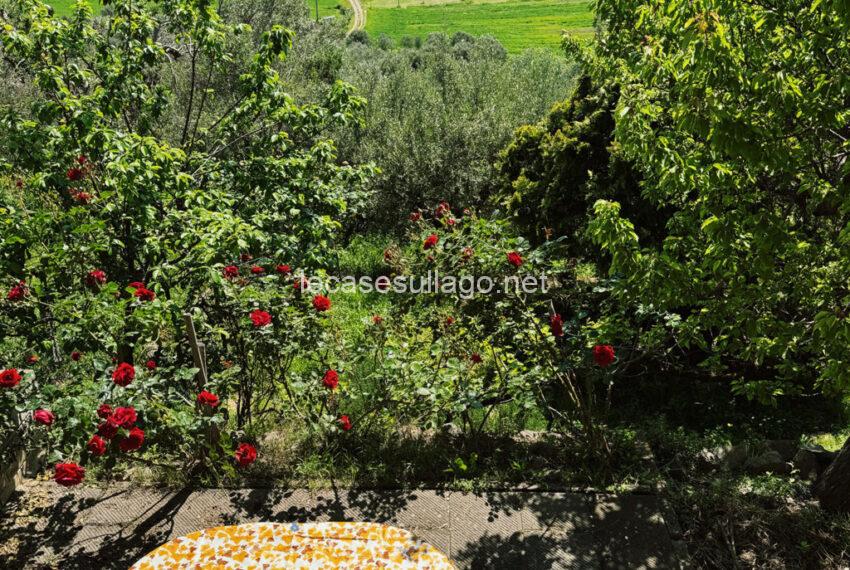 umbria_esterni_7 (FILEminimizer)