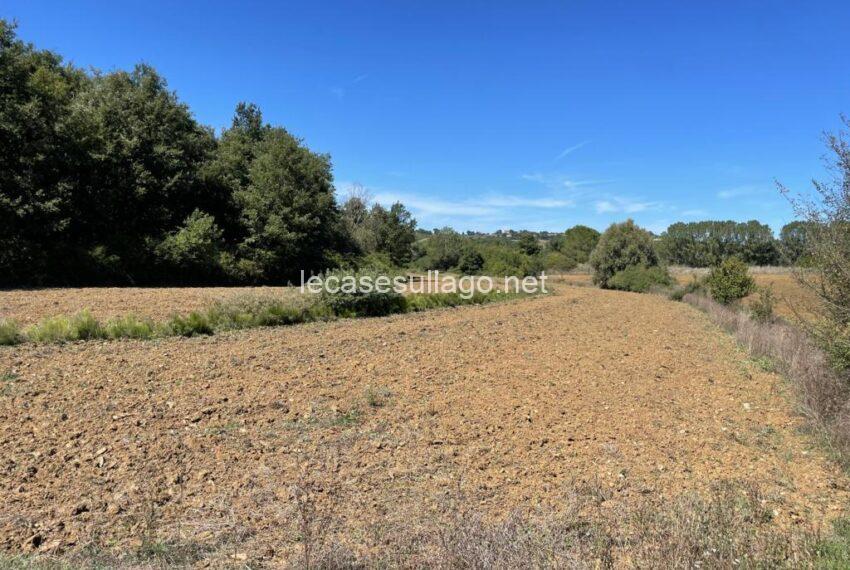 5PHOTO-2025-09-04-15-30-11 (FILEminimizer)