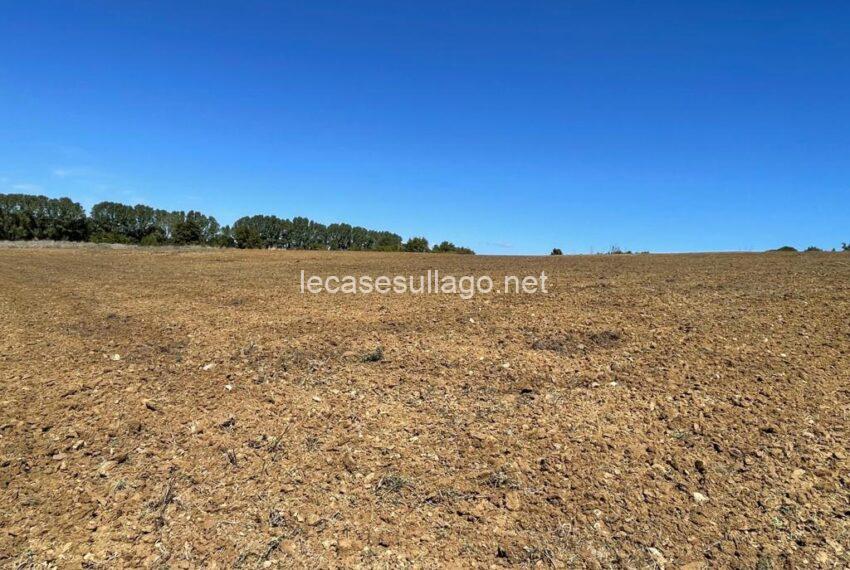 6PHOTO-2025-09-04-15-30-11 (FILEminimizer)