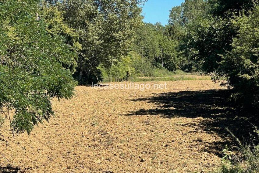 7PHOTO-2025-09-04-15-30-11 (FILEminimizer)