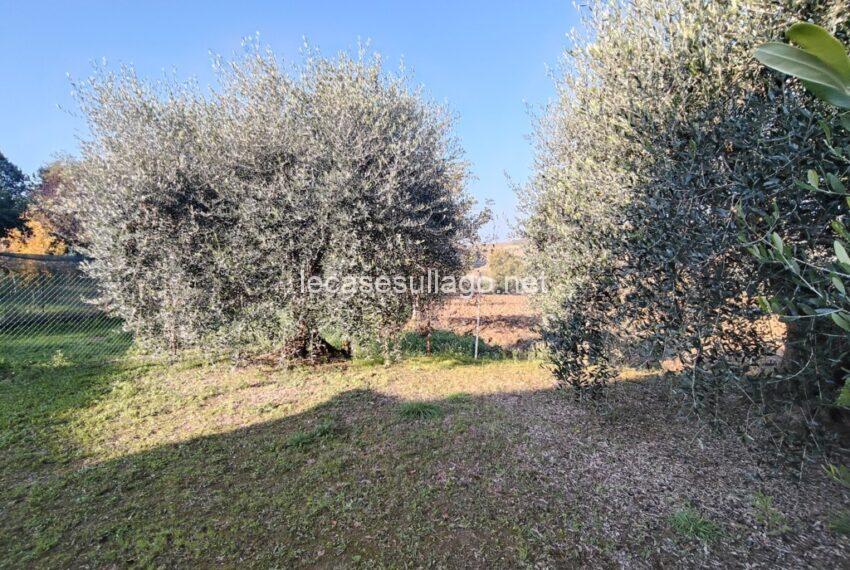 IMG20251108100003 (FILEminimizer)